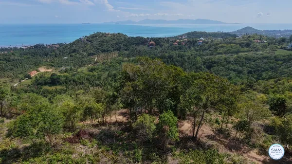 Seaview Land for Sale in Bang Por, Koh Samui